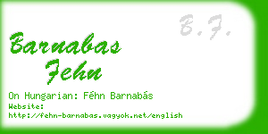 barnabas fehn business card